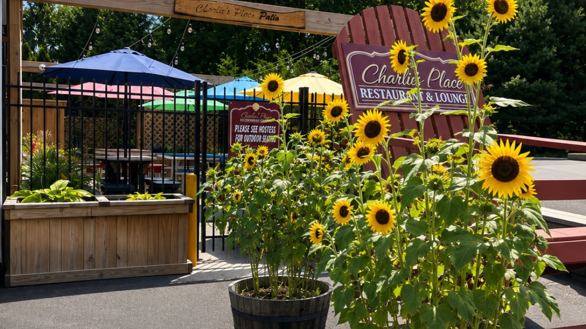 Catering and our outdoor patio